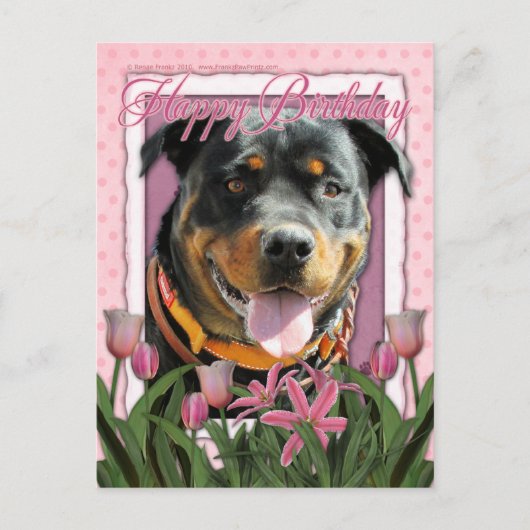 Carte Postale Joyeux anniversaire - Rottweiler - SambaParTi (Devant)
