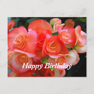Carte Postale joyeux anniversaire rouge fleurs de begonia