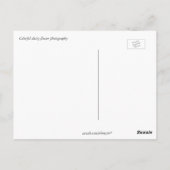 Carte Postale Joyeux anniversaire, rouge, jaune & orange fleur m (Dos)