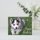 Carte Postale Joyeux Anniversaire Sibérie Husky Chien Chien Pot (Debout devant)