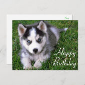 Carte Postale Joyeux Anniversaire Sibérie Husky Chien Chien Pot (Devant / Derrière)