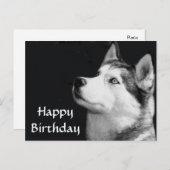 Carte Postale Joyeux Anniversaire Sibérie Husky Chien Chien Pot  (Devant / Derrière)