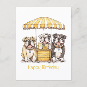 Carte Postale Joyeux Anniversaire Stand de Limonade Bouledogues 