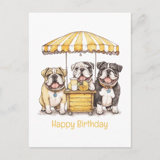 Carte Postale Joyeux Anniversaire Stand de Limonade Bouledogues  (Devant)