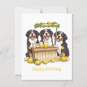 Carte Postale Joyeux Anniversaire Stand de Limonade du Montagnar