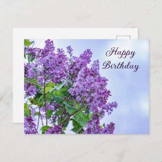 Carte Postale Joyeux Anniversaire Vibrant Fleurs Lilac Violet (Devant / Derrière)