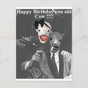 Carte Postale Joyeux anniversaire, vieux vache !
