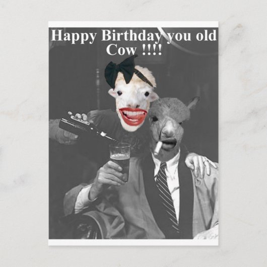 Carte Postale Joyeux anniversaire, vieux vache ! (Devant)