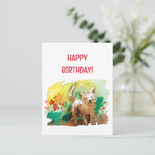 Carte Postale Joyeux anniversaire ! West highland terrier ! (Debout devant)