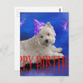 Carte Postale Joyeux anniversaire Westie (Devant / Derrière)