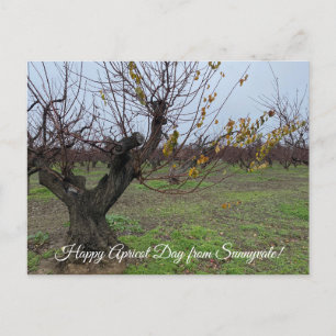 Carte Postale Joyeux Apricot Day de Sunnyvale!