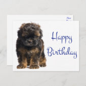 Carte Postale Joyeux Bébé Havanais Chien Chien Chien Chien Chien (Devant / Derrière)