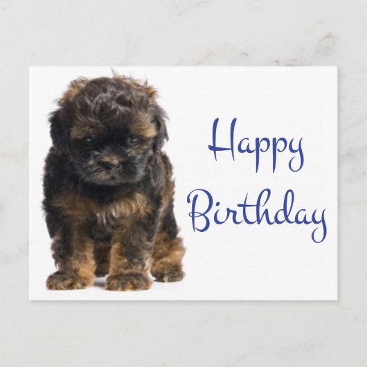 Carte Postale Joyeux Bébé Havanais Chien Chien Chien Chien Chien (Devant)
