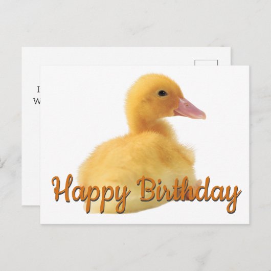 Carte Postale Joyeux canard d'anniversaire (Devant / Derrière)