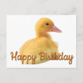 Carte Postale Joyeux canard d'anniversaire (Devant)