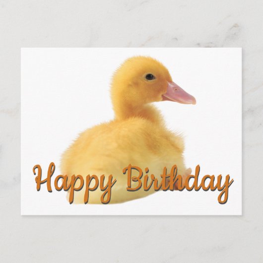 Carte Postale Joyeux canard d'anniversaire (Devant)