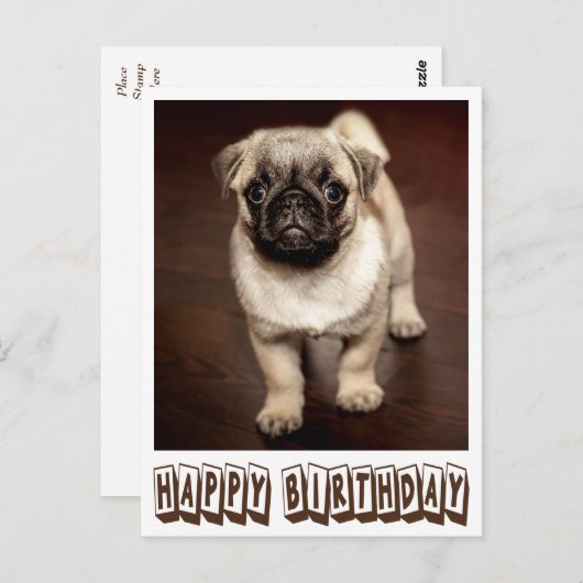 Carte Postale Joyeux Carlin d'anniversaire Chien Chien Chien Chi (Devant / Derrière)
