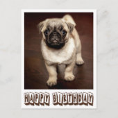 Carte Postale Joyeux Carlin d'anniversaire Chien Chien Chien Chi (Devant)