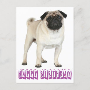 Carte Postale Joyeux Carlin d'anniversaire Chien Chien Chien Vio