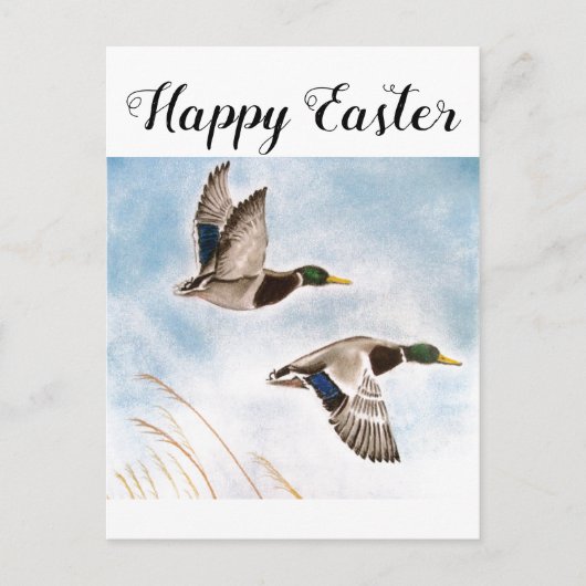 Carte Postale Joyeux chasseurs de canards de Pâques (Devant)