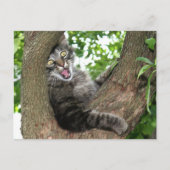 Carte Postale Joyeux chat dans l'arbre (Devant)