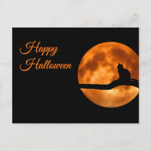 Carte Postale Joyeux chat d'Halloween