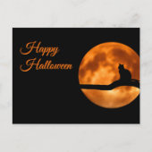 Carte Postale Joyeux chat d'Halloween (Devant)