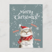 Carte postale Joyeux Chat Joyeux Noël (Devant)