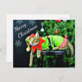 Carte postale Joyeux chat Noël (Devant / Derrière)