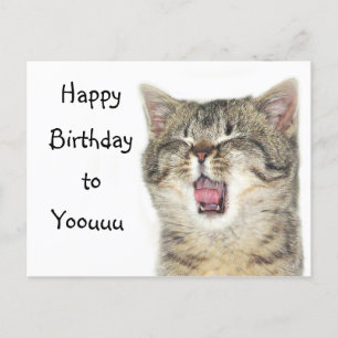 Carte Postale Joyeux chaton d'anniversaire