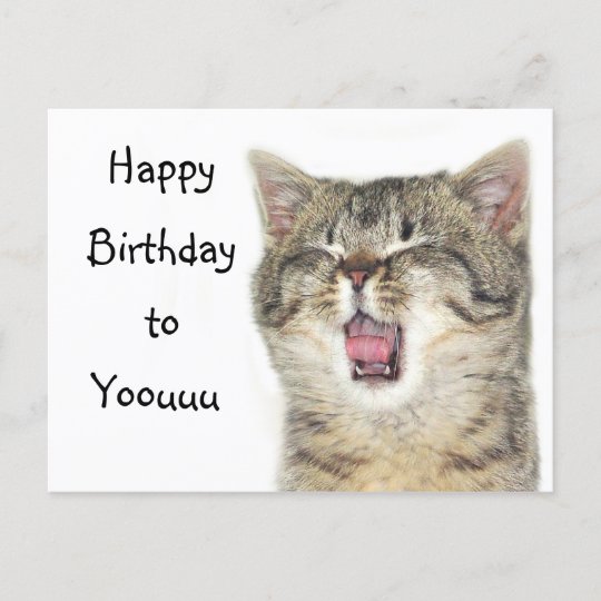 Carte Postale Joyeux Chaton D Anniversaire Zazzle Be