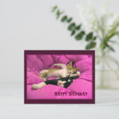 Carte Postale Joyeux chats mignons d'anniversaire (Debout devant)