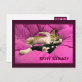 Carte Postale Joyeux chats mignons d'anniversaire (Devant / Derrière)