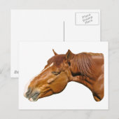 Carte Postale Joyeux cheval (Devant / Derrière)