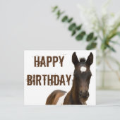 Carte Postale Joyeux Cheval de Colt d'anniversaire (Debout devant)
