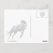 Carte Postale Joyeux Cheval de fuite (Dos)