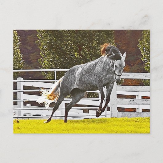 Carte Postale Joyeux Cheval de fuite (Devant)