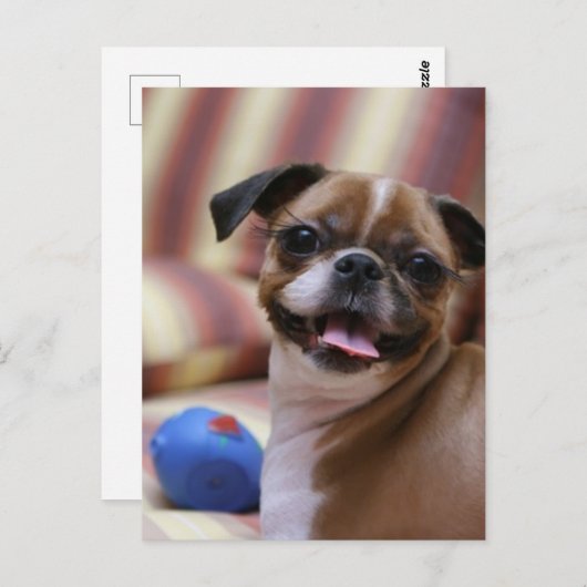 Carte Postale Joyeux chien avec jouet (Devant / Derrière)