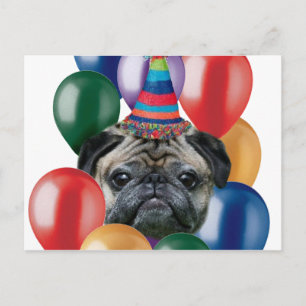 Carte Postale Joyeux chien Carlin d'anniversaire
