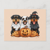Carte Postale Joyeux chien Rottweiler Halloween Jack-o'-lantern (Devant)