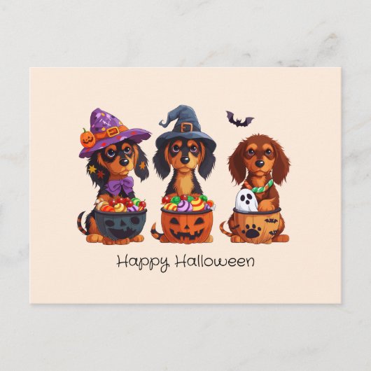 Carte Postale Joyeux Chiens de Dachshund Halloween (Devant)