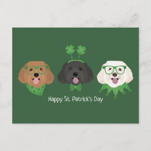 Carte Postale Joyeux Chiens de Maltipoo Jour de la Saint Patrick