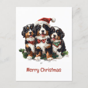 Carte Postale Joyeux Chiens de montagne bernois de Noël