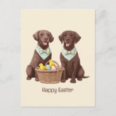 Carte Postale Joyeux Chiens de récupération de chocolat de Pâque (Devant)