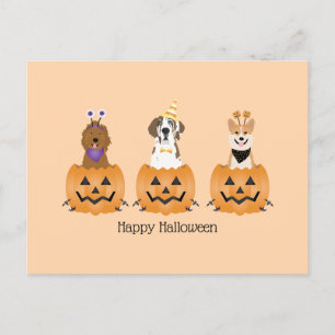 Carte Postale Joyeux Chiens D'Halloween En Citrouille