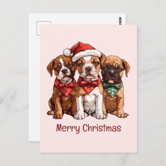 Carte Postale Joyeux Chiens en boîte de Noël (Devant / Derrière)