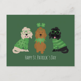 Carte Postale Joyeux Chiens Goldendoodle Jour de la Saint Patric