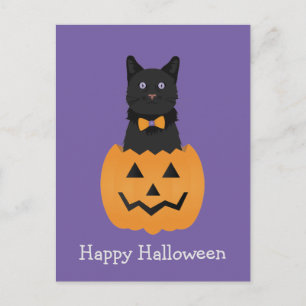 Carte Postale Joyeux Citrouille de chat noir Halloween