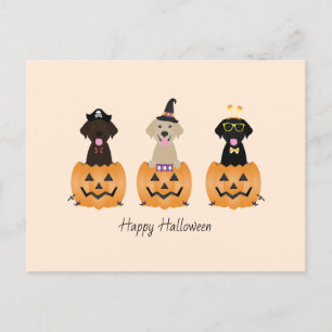 Carte Postale Joyeux Citrouille de chiens de trieuse d'Halloween
