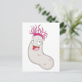 Carte Postale Joyeux concombre de mer (Debout devant)